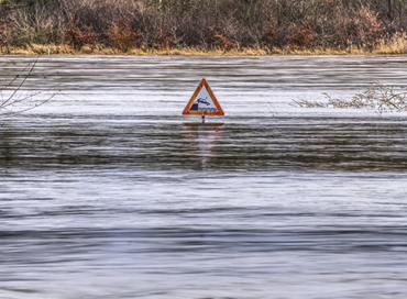 Taccuino Liberale #8