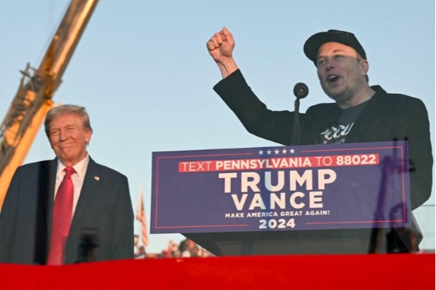 Le magnifiche sorti e progressive di Trump e Musk