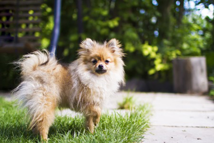 Taccuino Liberale #26