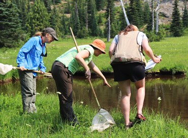 Fisica quantistica e citizen science