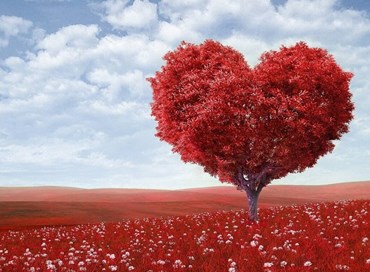 Lettera di San Valentino