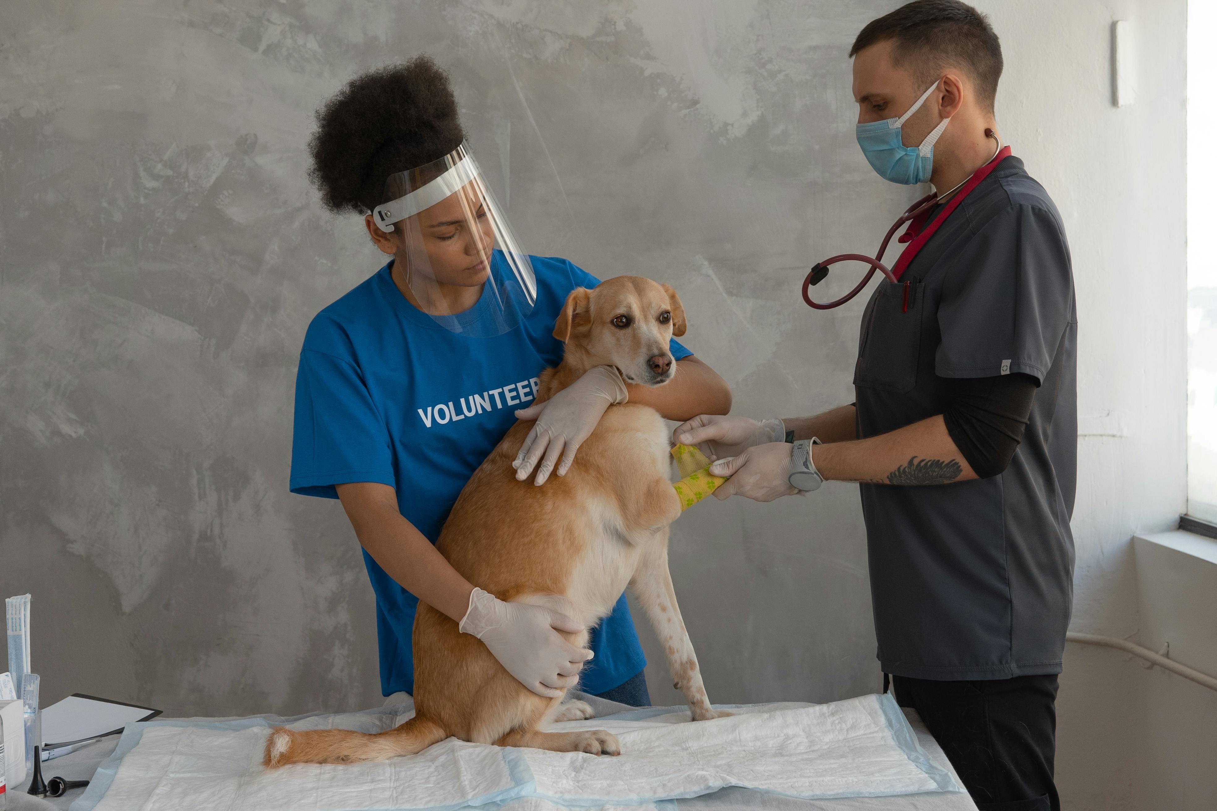La medicina veterinaria forense