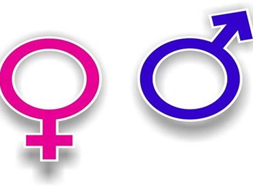 Checco Zalone, il patriarcato e la Festa della Donna