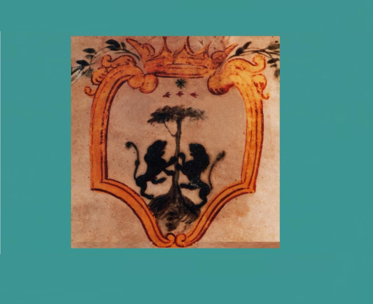 Quando le radici raccontano