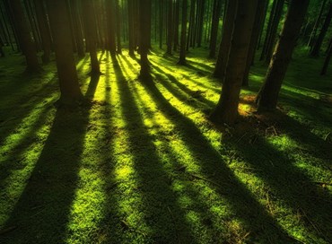Dentro il nulla, la vita