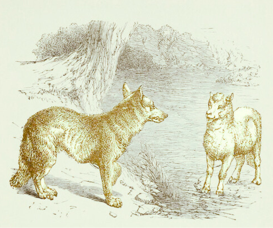 La cedolare secca e il lupo del fisco