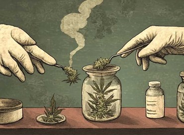 Cannabis Light, il trip del legislatore