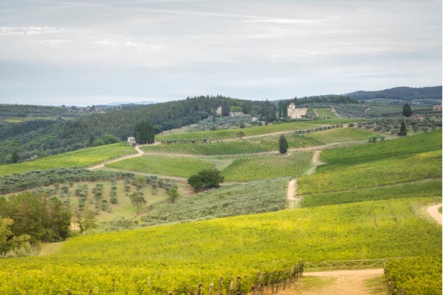 Turismo, il buon senso che deve governare la Toscana