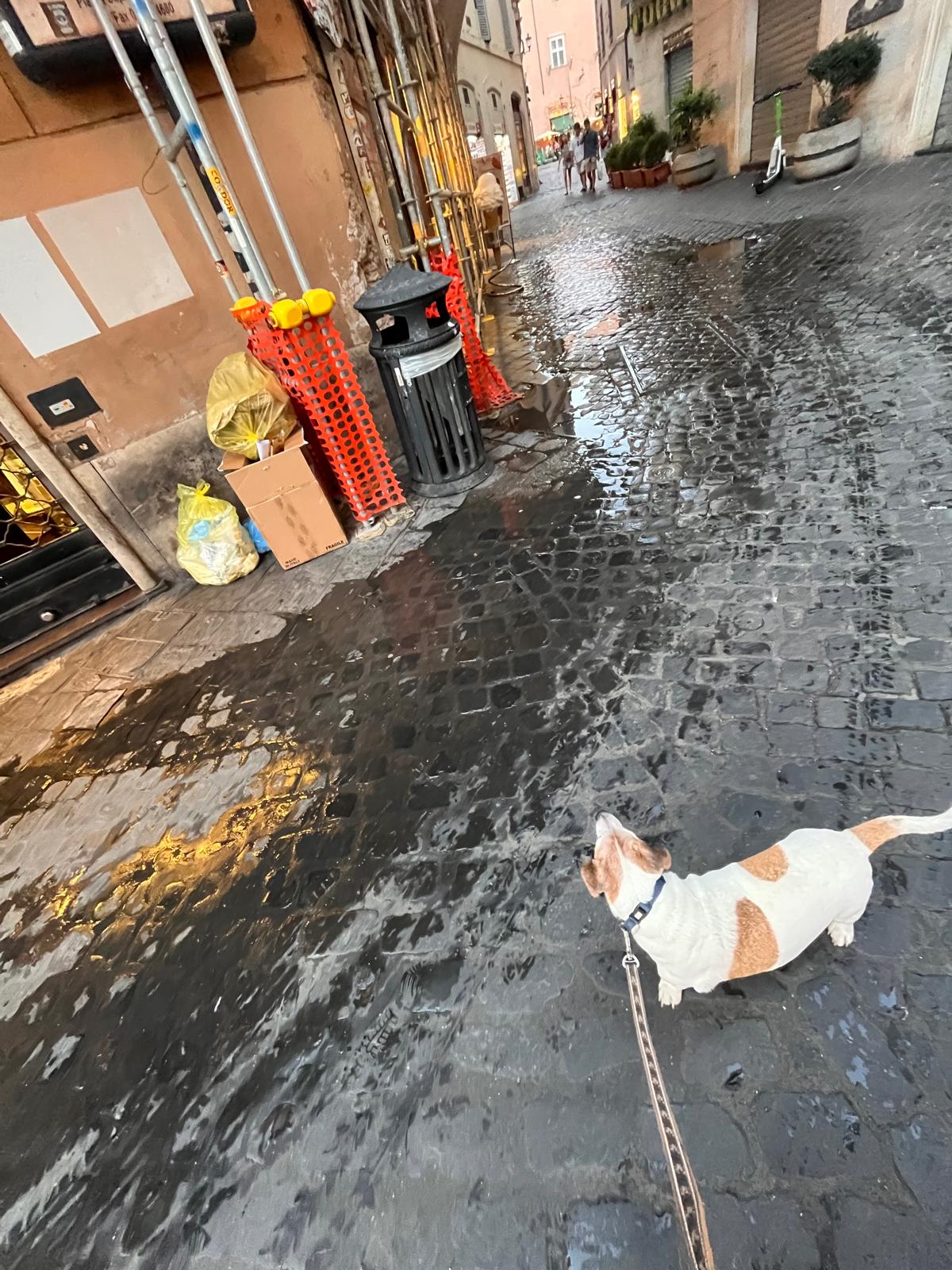 Taccuino Liberale #54