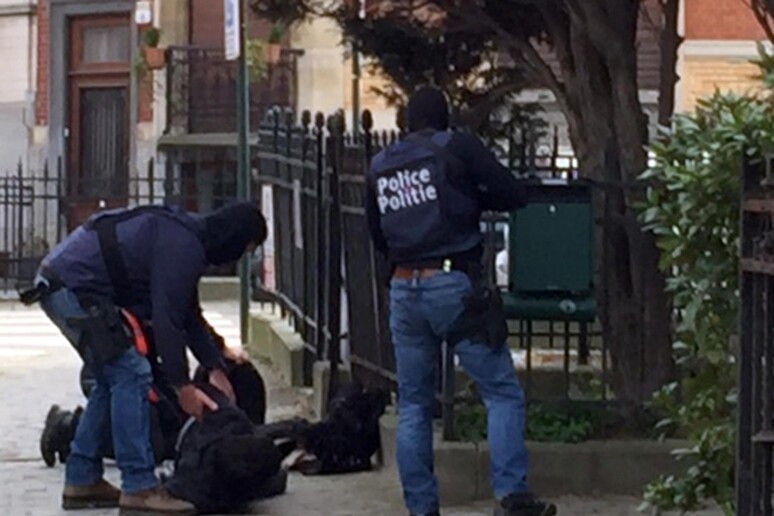 “Il Belgio sta diventando un narco-Stato”