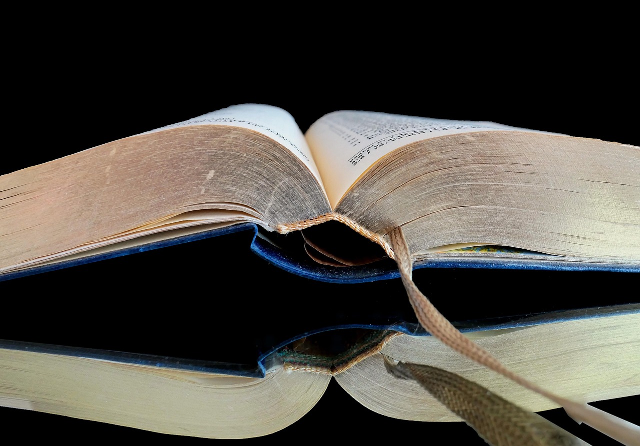 Lodovico Festa: il diario di viaggio di un lettore compulsivo in 555 citazioni e aforismi