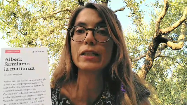 Salvare gli alberi, salvare il pianeta