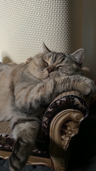 Pillole di sano menefreghismo (Podcast)