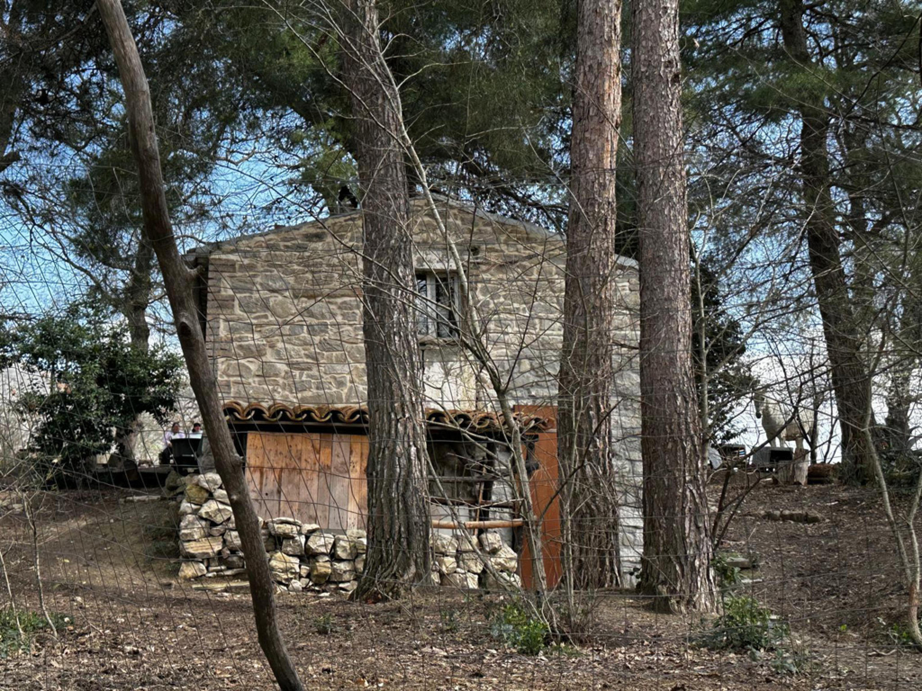 Aleksandra Kollontaj e la famiglia nel bosco