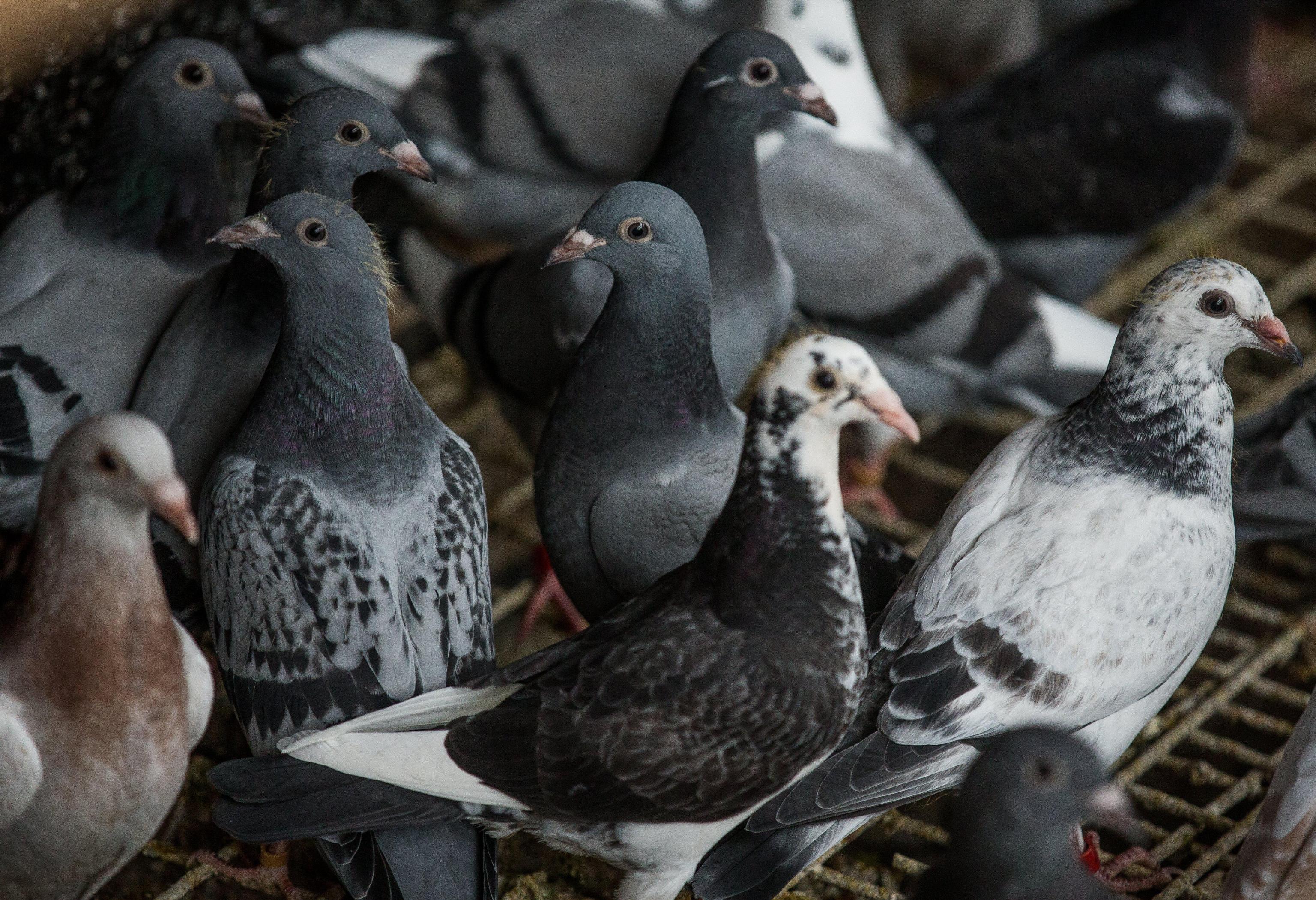 La diplomazia nell’era dei tweet