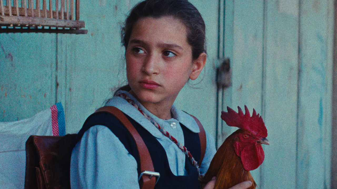 “La torta del presidente”: troppo amara