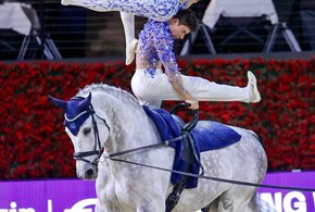 Il volteggio equestre premiato in Senato 