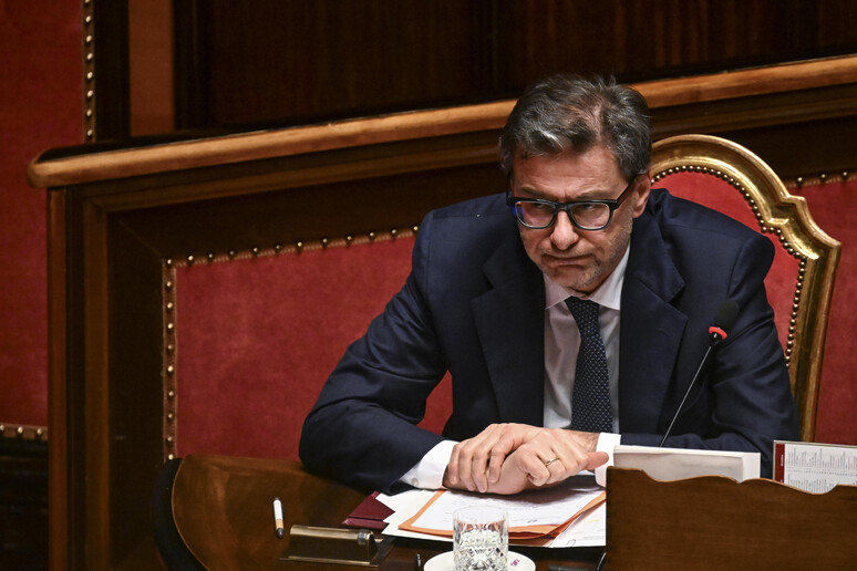 La lunga stagione delle cicale