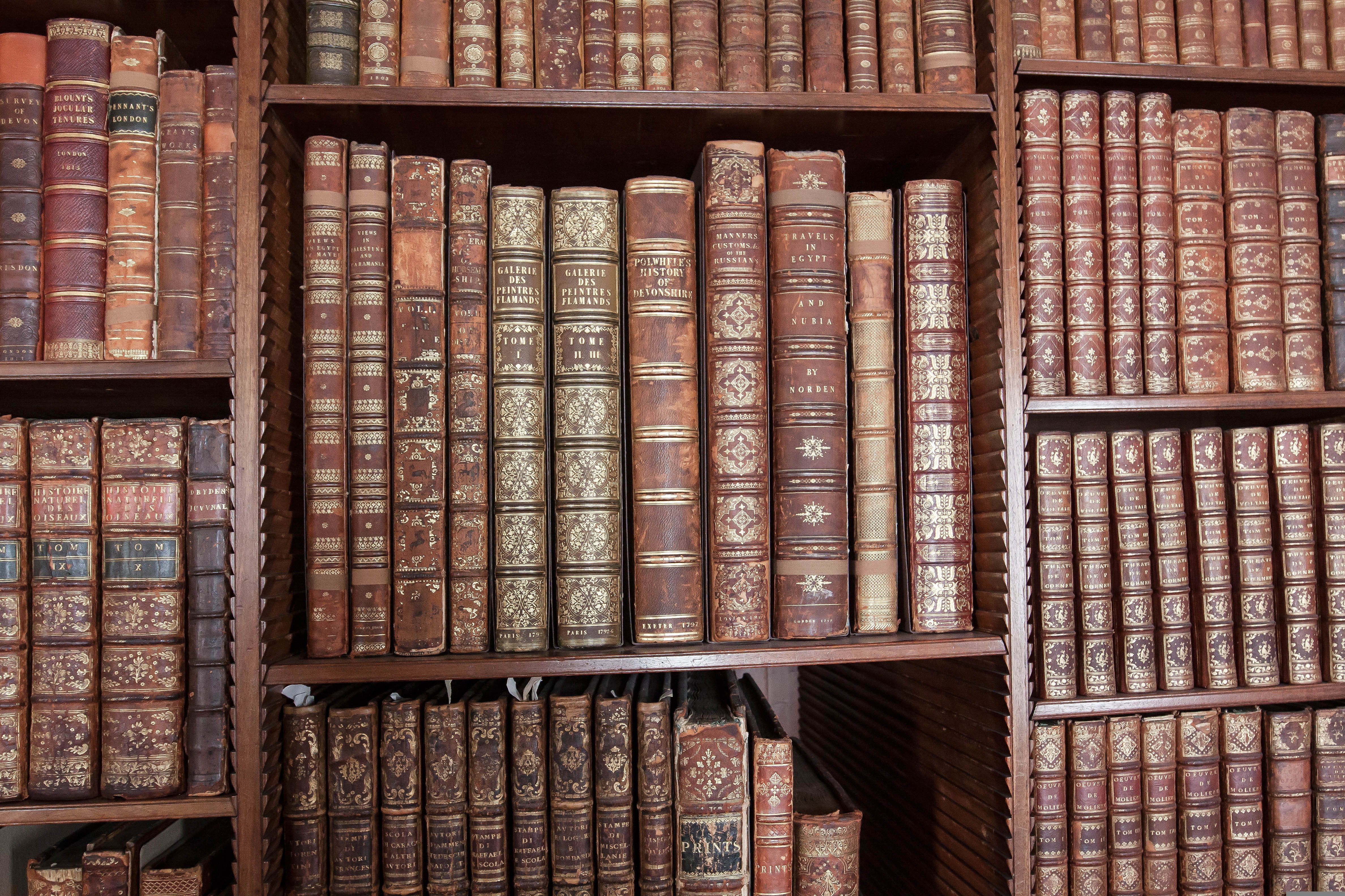Libri, attualità e contemporaneità: un equivoco da scampare