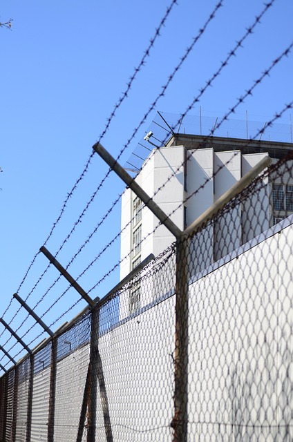L’uroboro penitenziario