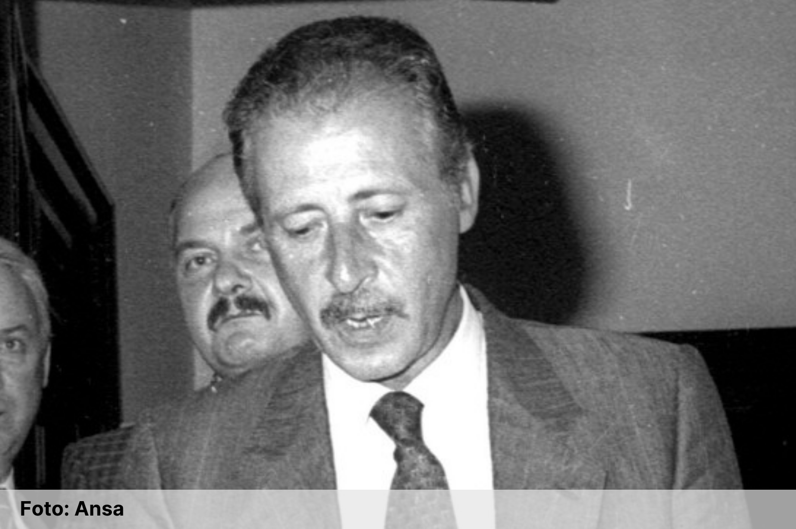Contro il nido di vipere