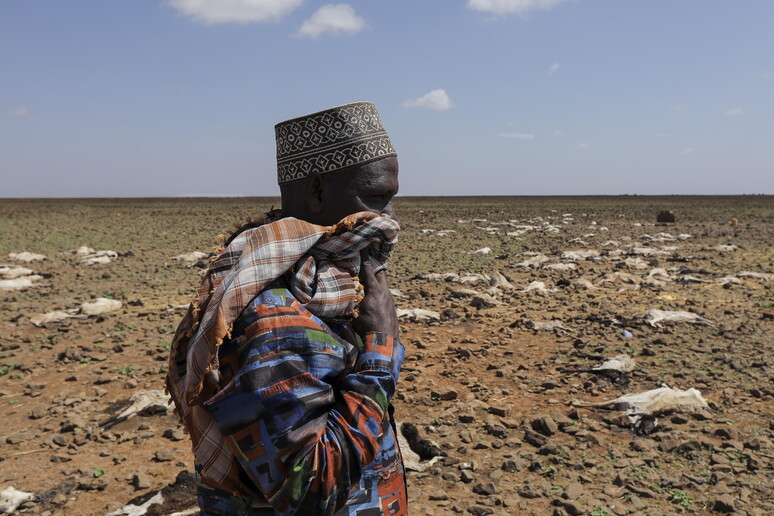 Perché l’Africa non ha bisogno di carità