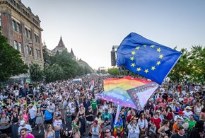 Il cortocircuito nel partito arcobaleno