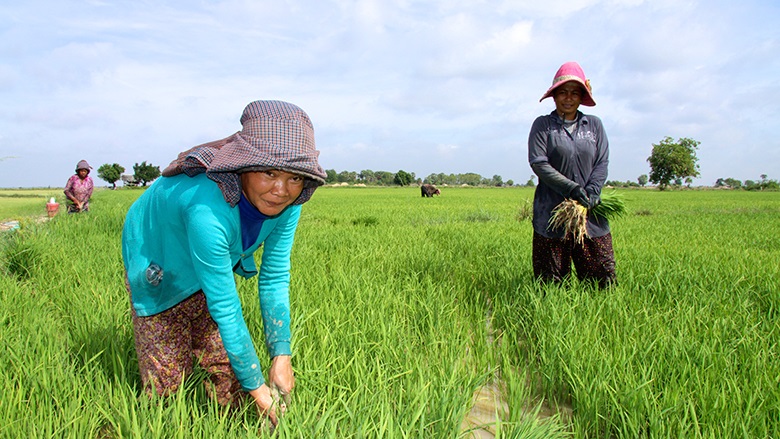 L’intelligenza artificiale parla khmer