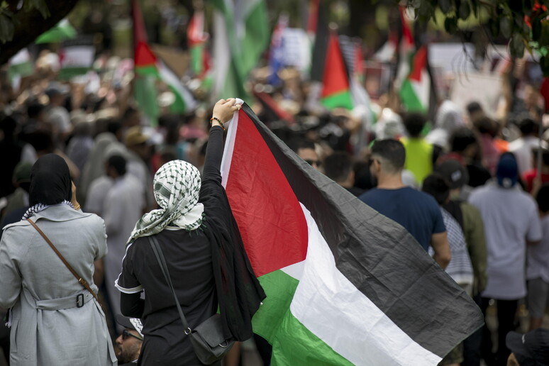 Il cavallo di Troia dietro la bandiera palestinese
